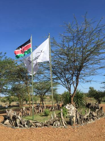 A Visit to the Masai Mara Game Reserve in Kenya
